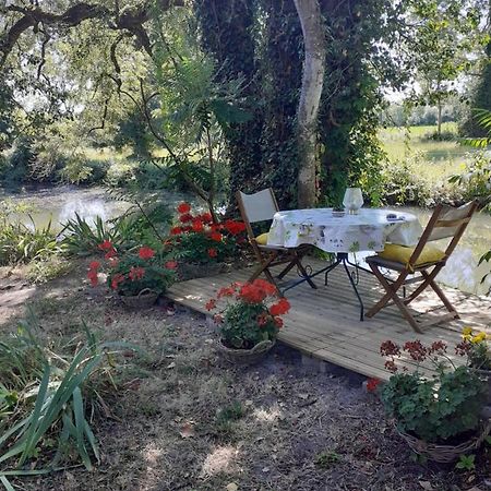 Gite " Jardin Peyrona" Visite Zoo Beauval Et Chateaux De Loire Beaulieu-les-Loches Ngoại thất bức ảnh