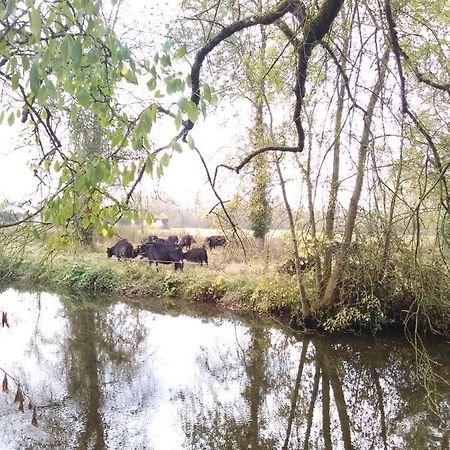 Gite " Jardin Peyrona" Visite Zoo Beauval Et Chateaux De Loire Beaulieu-les-Loches Ngoại thất bức ảnh