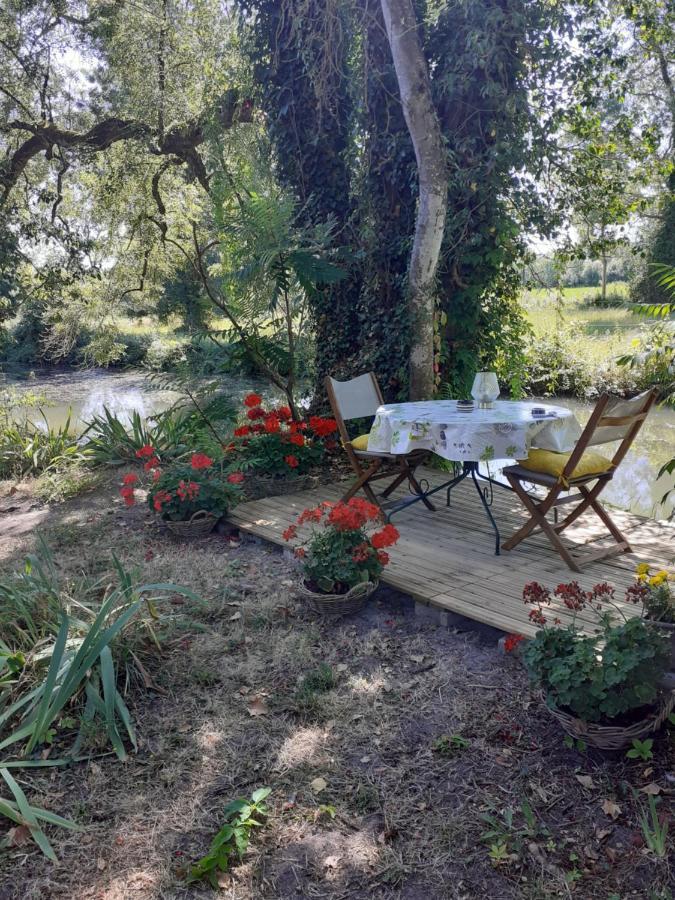 Gite " Jardin Peyrona" Visite Zoo Beauval Et Chateaux De Loire Beaulieu-les-Loches Ngoại thất bức ảnh