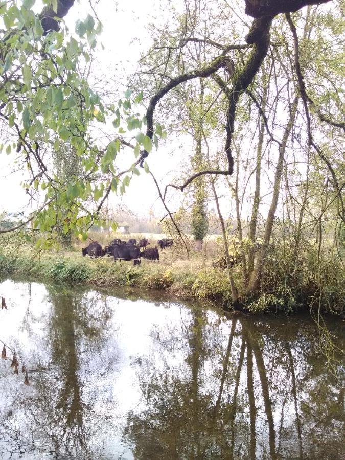 Gite " Jardin Peyrona" Visite Zoo Beauval Et Chateaux De Loire Beaulieu-les-Loches Ngoại thất bức ảnh