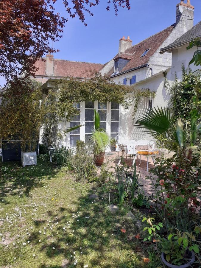 Gite " Jardin Peyrona" Visite Zoo Beauval Et Chateaux De Loire Beaulieu-les-Loches Ngoại thất bức ảnh
