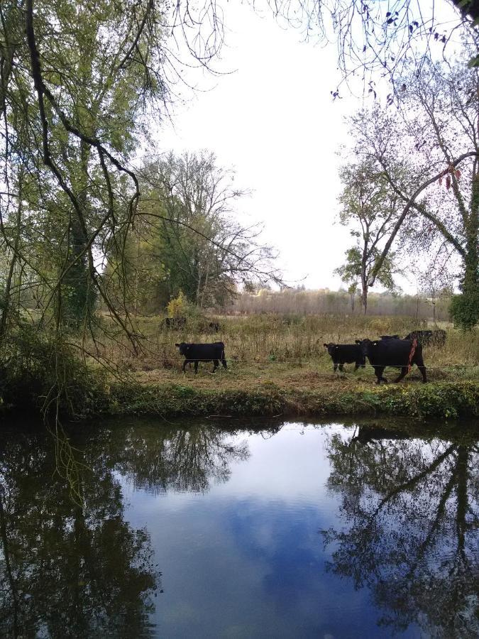 Gite " Jardin Peyrona" Visite Zoo Beauval Et Chateaux De Loire Beaulieu-les-Loches Ngoại thất bức ảnh
